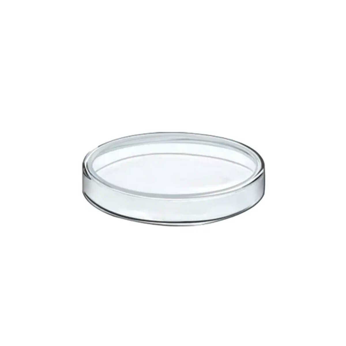 Capsula De Petri Vidrio